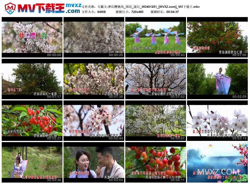 天籁天-梦幻樱桃沟_国语_流行_MD401251